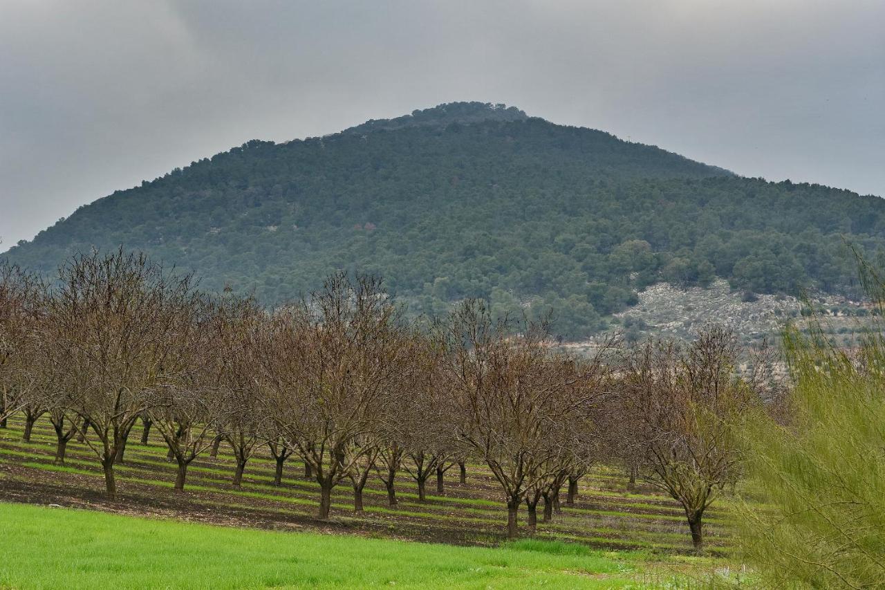 Pearl Of The Valley Hotel Kfar Tavor Extérieur photo